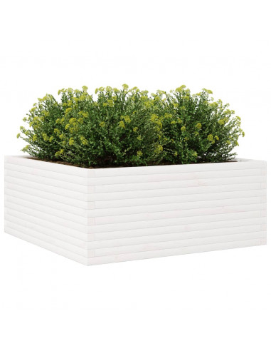 Fioriera da Giardino Bianca 110x110x46cm Legno Massello di Pino