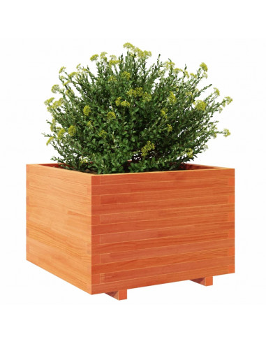 Fioriera Giardino Marrone Cera 70x70x49,5cm Legno Massello Pino