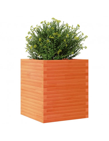 Fioriera Giardino Marrone Cera 60x60x68,5cm Legno Massello Pino