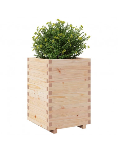 Fioriera da Giardino 50x50x72,5 cm in Legno Massello di Pino
