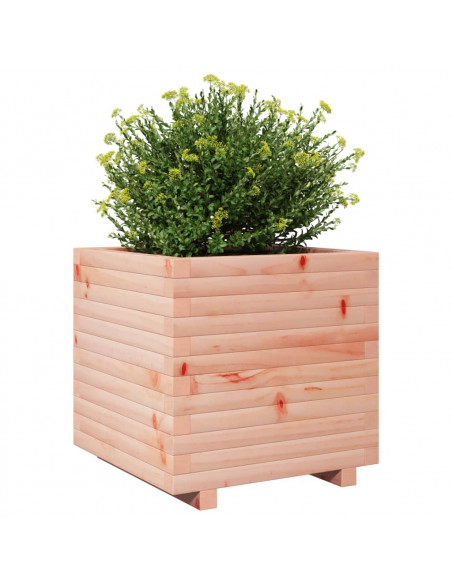 Fioriera da Giardino 50x50x49,5 cm in Legno Massello di Douglas