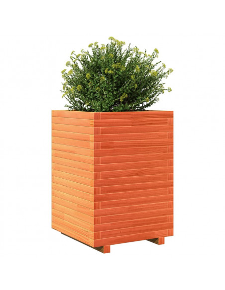 Fioriera Giardino Marrone Cera 50x50x72 cm Legno Massello Pino