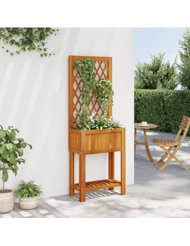 Fioriera con Traliccio e Ripiano 55x29,5x152 cm in Legno Acacia