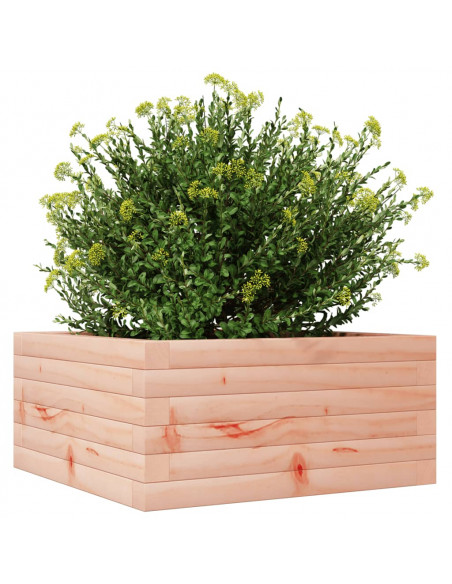 Fioriera da Giardino 50x50x23 cm in Legno Massello di Douglas