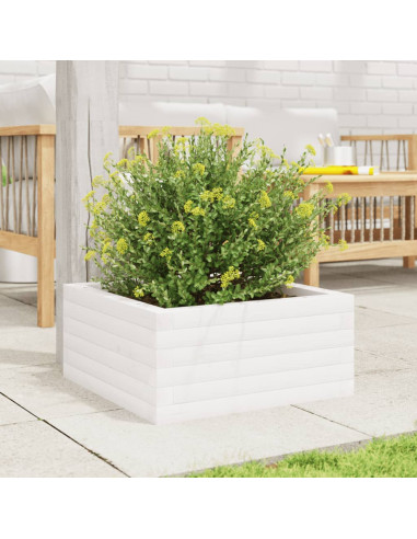Fioriera da Giardino Bianca 50x50x23 cm Legno Massello di Pino