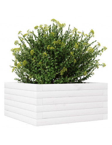 Fioriera da Giardino Bianca 50x50x23 cm Legno Massello di Pino