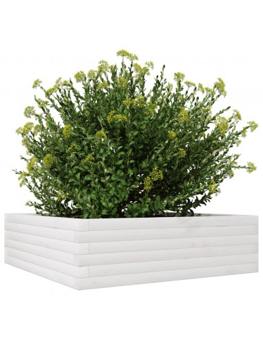Fioriera da Giardino Bianca 80x80x23 cm Legno Massello di Pino