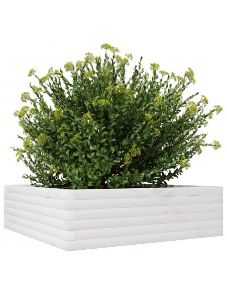 Fioriera da Giardino Bianca 80x80x23 cm Legno Massello di Pino
