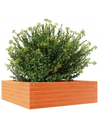 Fioriera Giardino Marrone Cera 80x80x23 cm Legno Massello Pino