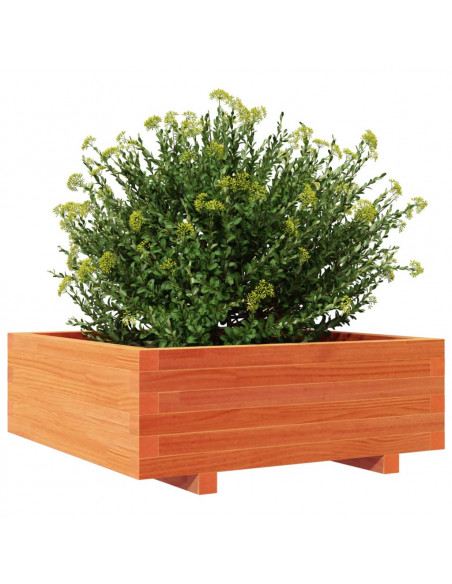Fioriera Giardino Marrone Cera 70x70x26,5cm Legno Massello Pino
