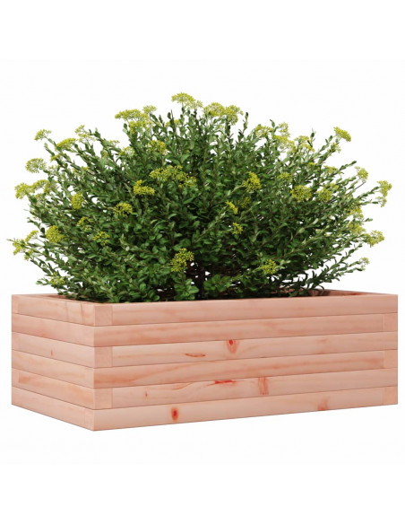 Fioriera da Giardino 70x40x23 cm in Legno Massello di Douglas