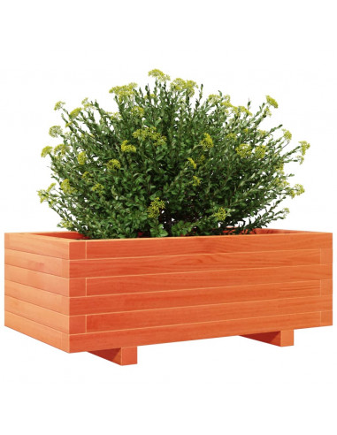 Fioriera Giardino Marrone Cera 70x40x26,5cm Legno Massello Pino