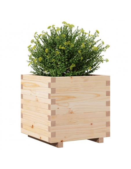 Fioriera da Giardino 50x50x49,5 cm in Legno Massello di Pino