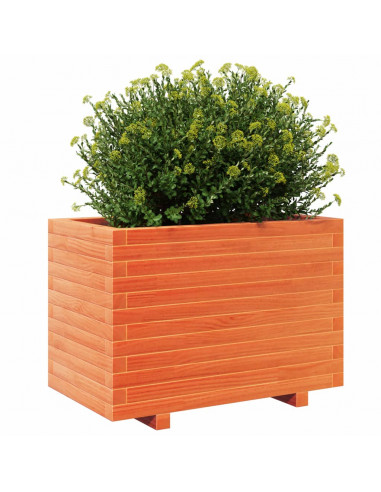 Fioriera Giardino Marrone Cera 70x40x49,5cm Legno Massello Pino