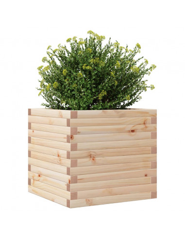 Fioriera da Giardino 50x50x46 cm in Legno Massello di Pino