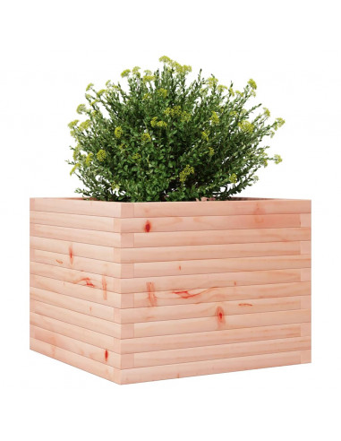 Fioriera da Giardino 60x60x46 cm in Legno Massello Di Douglas