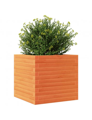 Fioriera Giardino Marrone Cera 50x50x46 cm Legno Massello Pino