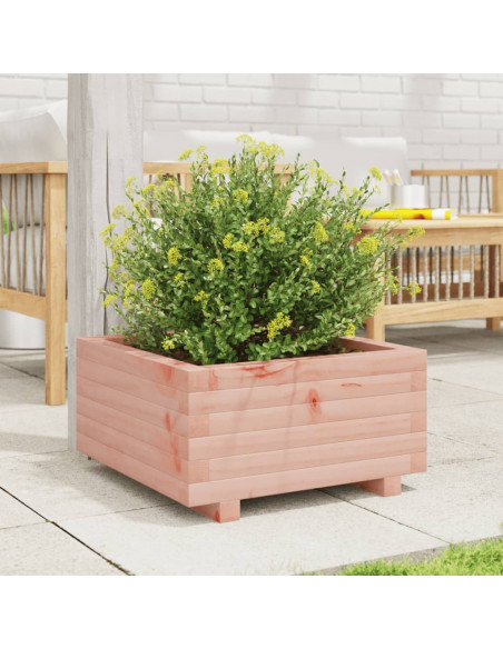 Fioriera da Giardino 50x50x26,5 cm in Legno Massello di Douglas