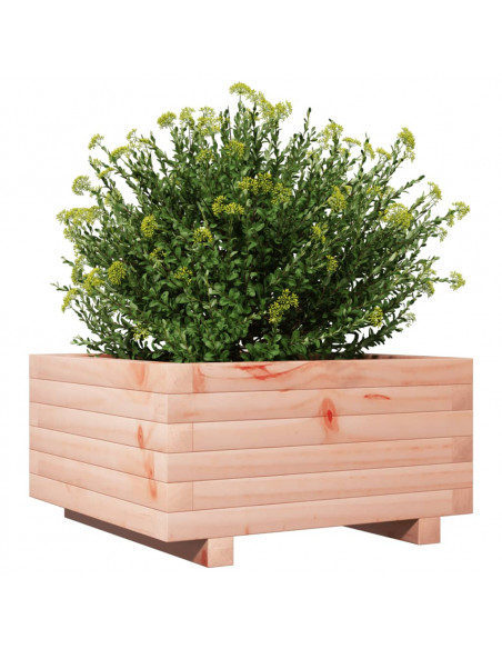 Fioriera da Giardino 50x50x26,5 cm in Legno Massello di Douglas