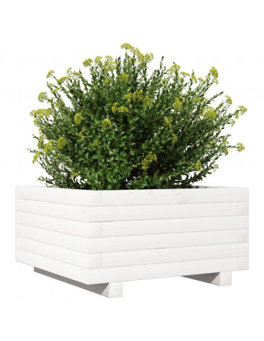 Fioriera da Giardino Bianca 50x50x26,5cm Legno Massello di Pino