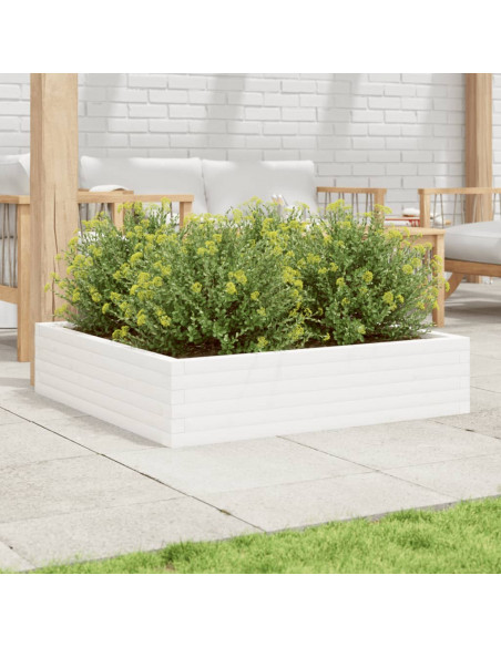 Fioriera da Giardino Bianca 100x100x23 cm Legno Massello Pino