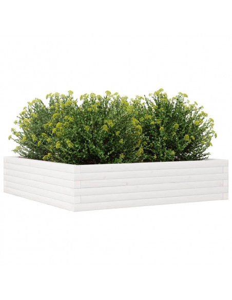 Fioriera da Giardino Bianca 100x100x23 cm Legno Massello Pino