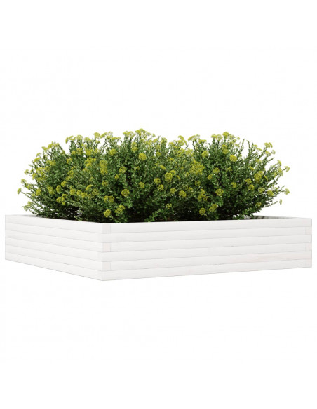 Fioriera da Giardino Bianca 110x110x23cm Legno Massello di Pino