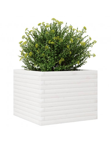 Fioriera da Giardino Bianca 60x60x45,5cm Legno Massello di Pino