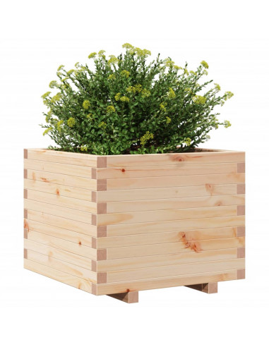 Fioriera da Giardino 60x60x49,5 cm in Legno Massello di Pino