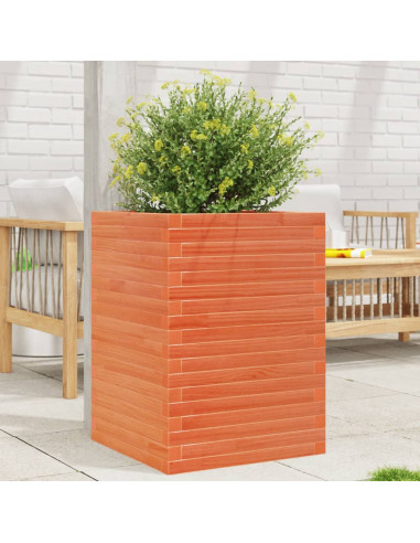 Fioriera Giardino Marrone Cera 50x50x68,5cm Legno Massello Pino