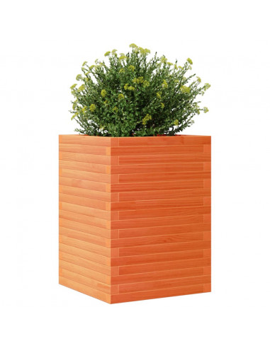 Fioriera Giardino Marrone Cera 50x50x68,5cm Legno Massello Pino