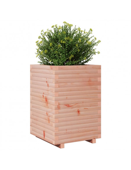 Fioriera da Giardino 50x50x72 cm in Legno Massello di Douglas
