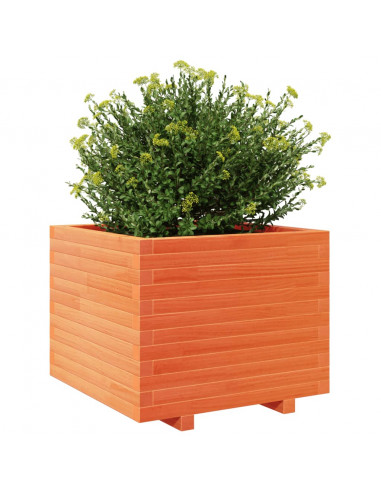 Fioriera Giardino Marrone Cera 60x60x49,5cm Legno Massello Pino