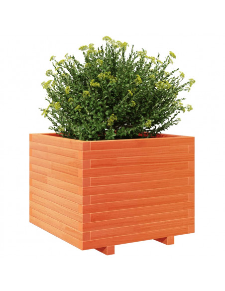 Fioriera Giardino Marrone Cera 60x60x49,5cm Legno Massello Pino