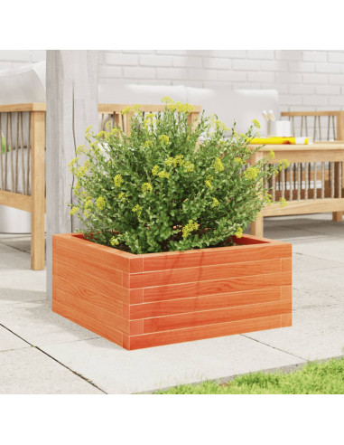 Fioriera Giardino Marrone Cera 50x50x23 cm Legno Massello Pino