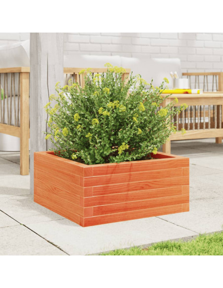 Fioriera Giardino Marrone Cera 50x50x23 cm Legno Massello Pino