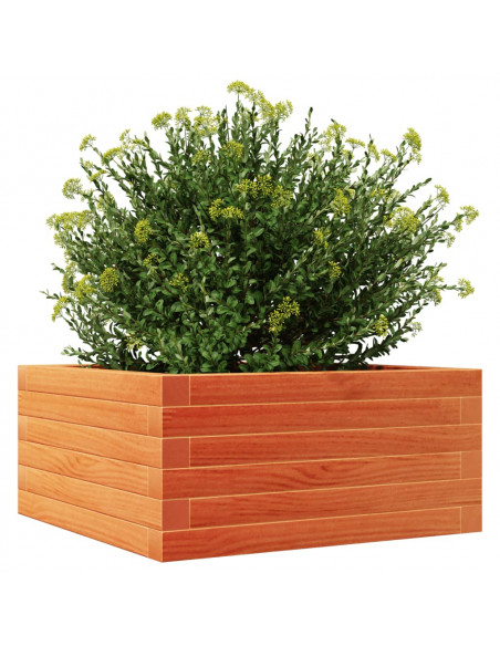 Fioriera Giardino Marrone Cera 50x50x23 cm Legno Massello Pino