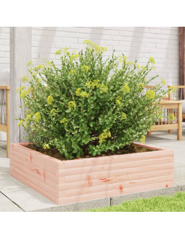 Fioriera da Giardino 80x80x23 cm in Legno Massello di Douglas
