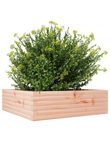 Fioriera da Giardino 80x80x23 cm in Legno Massello di Douglas