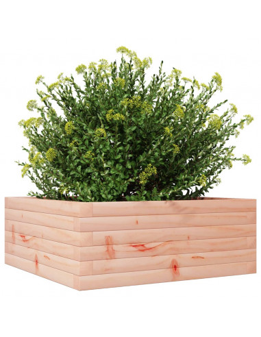Fioriera da Giardino 60x60x23 cm in Legno Massello di Douglas