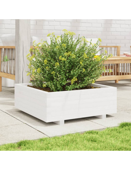 Fioriera da Giardino Bianca 70x70x26,5cm Legno Massello di Pino