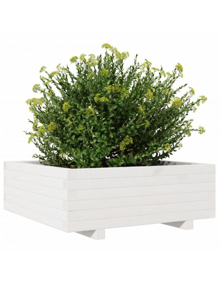 Fioriera da Giardino Bianca 70x70x26,5cm Legno Massello di Pino