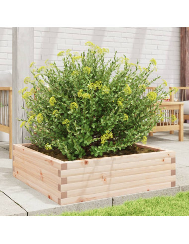Fioriera da Giardino 80x80x23 cm in Legno Massello di Pino