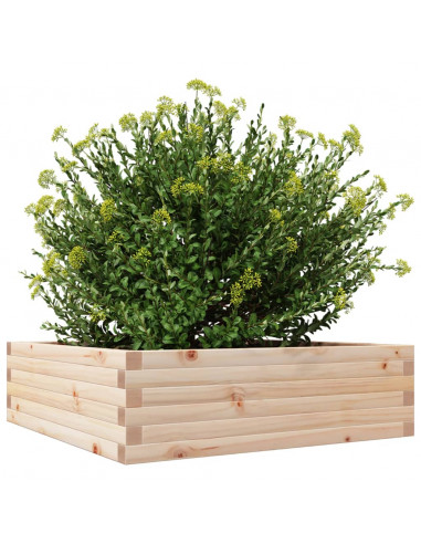 Fioriera da Giardino 80x80x23 cm in Legno Massello di Pino