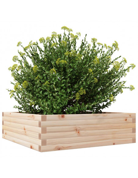 Fioriera da Giardino 80x80x23 cm in Legno Massello di Pino