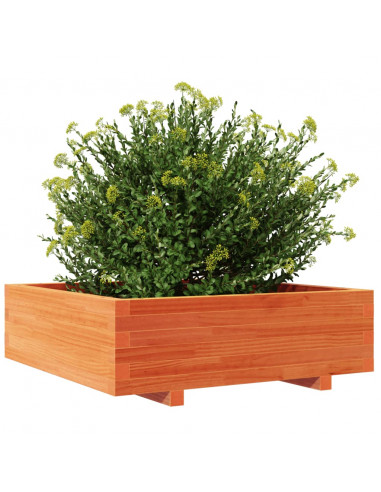 Fioriera Giardino Marrone Cera 80x80x26,5cm Legno Massello Pino