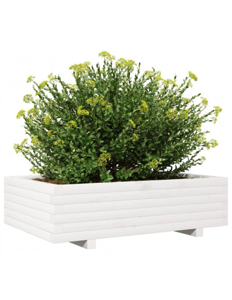 Fioriera da Giardino Bianca 90x60x26,5cm Legno Massello di Pino