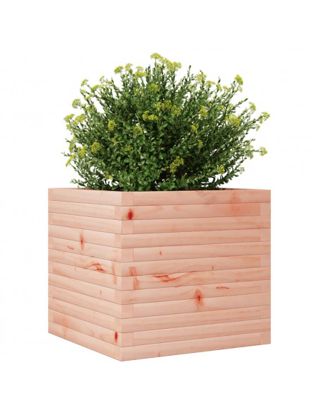 Fioriera da Giardino 50x50x46 cm in Legno Massello di Douglas