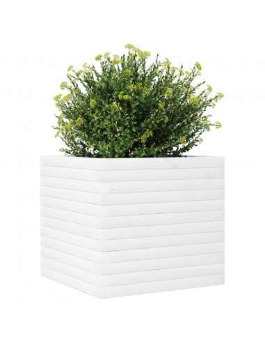 Fioriera da Giardino Bianca 50x50x46 cm Legno Massello di Pino