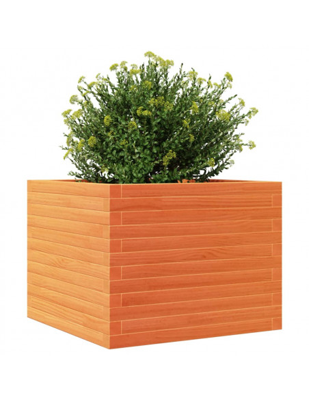 Fioriera Giardino Marrone Cera 60x60x46 cm Legno Massello Pino